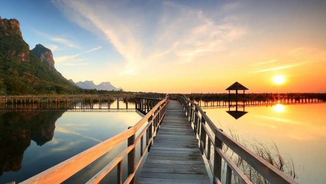 短视频对大脑的伤害有多大？